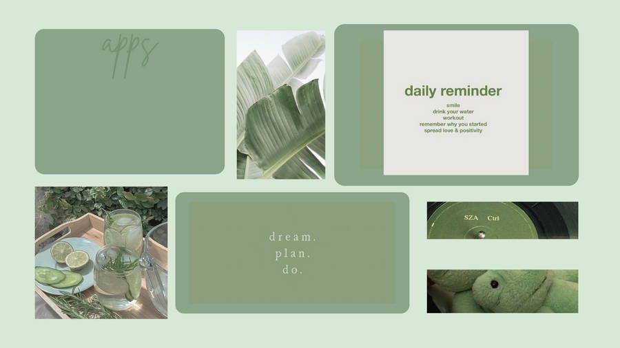 Aesthetic:photos= Sage Green