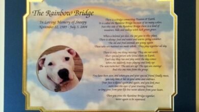 Printable:7bouoqfjsqs= Rainbow Bridge Poem