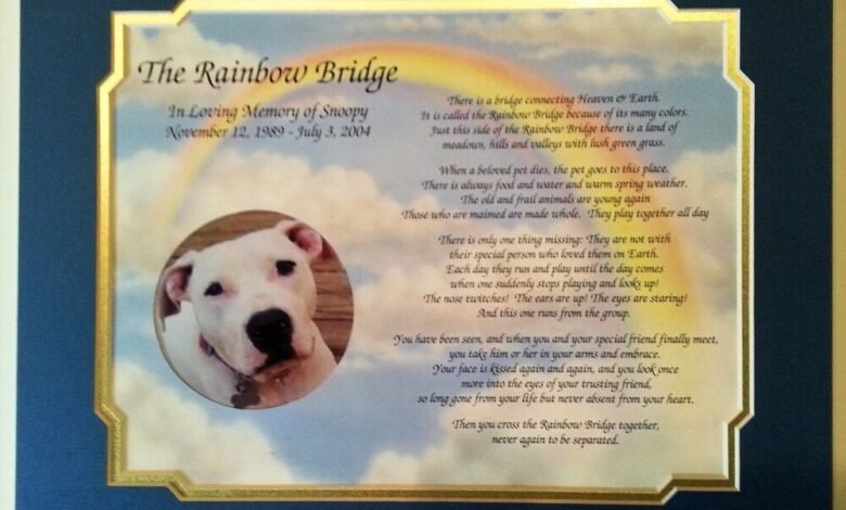 Printable:7bouoqfjsqs= Rainbow Bridge Poem