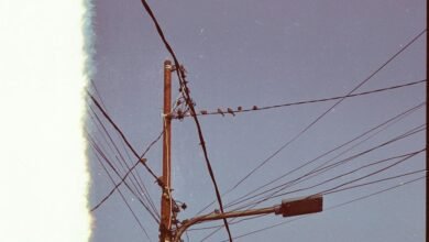 support line 919611542