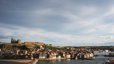 adaptive signal flow analysis