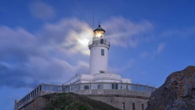 signal processing stability overview