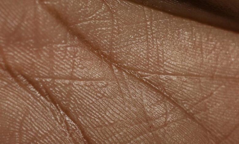 discover intricate line patterns