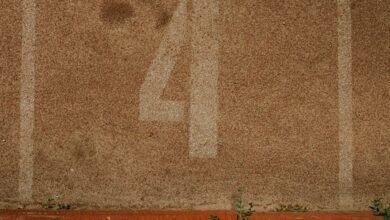 track number 8668518500