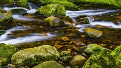 market edge radiant flow