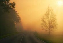 prime lane growth beam