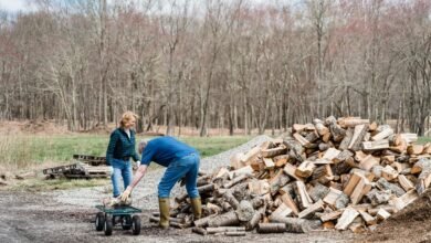 technology service activity summary