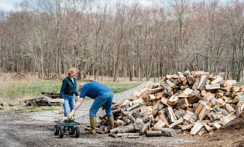 technology service activity summary