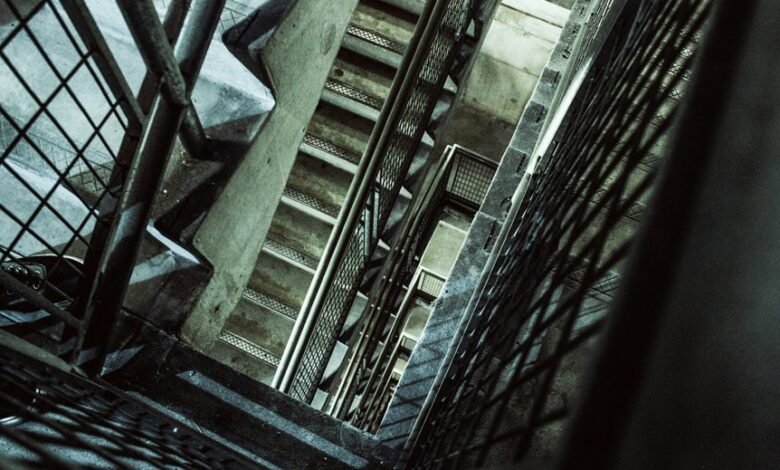 vertex rise performance surge