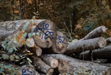 digital keyword classification log identifiers and aliases