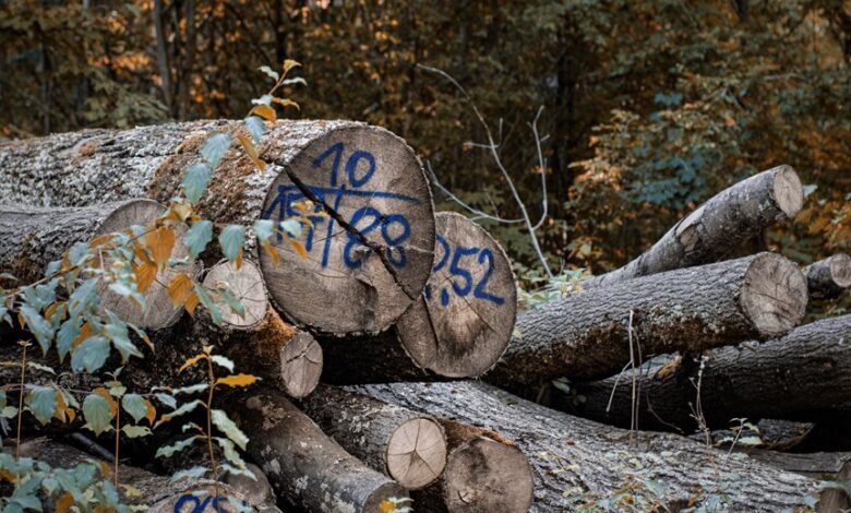 digital keyword classification log identifiers and aliases