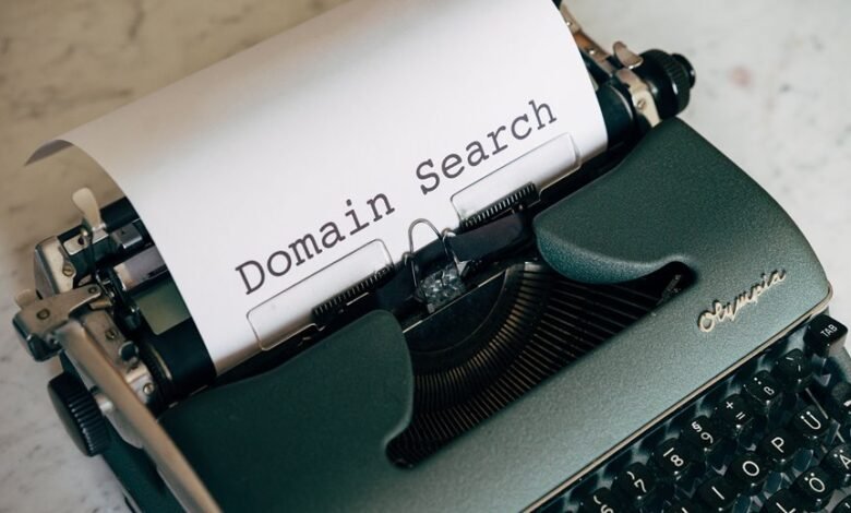 internet domain activity summary suspicious multilingual identifiers