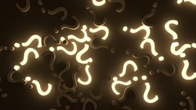 multilingual query pattern analysis