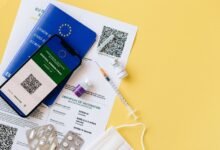 online safety and verification text summary
