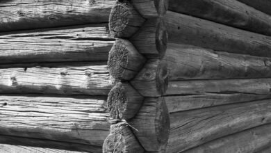 web content structure evaluation log
