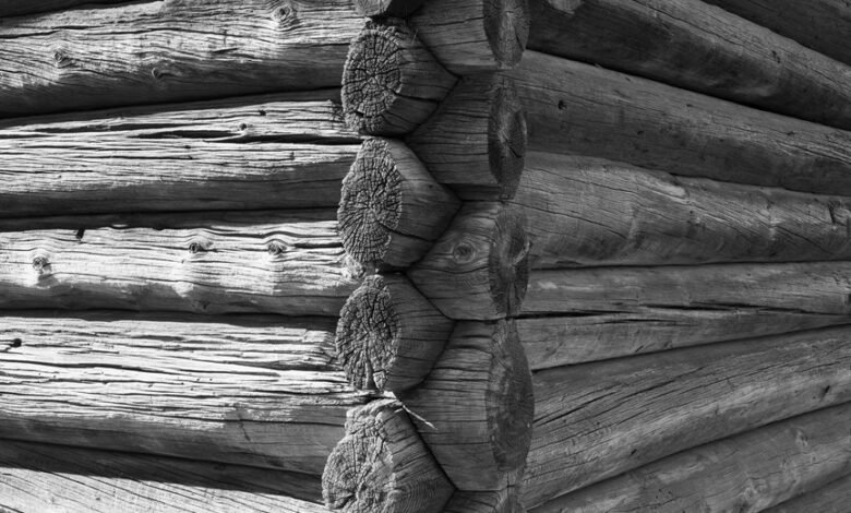 web content structure evaluation log