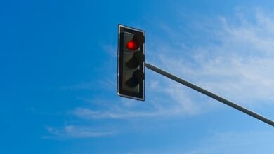 web entity signal tracking summary scores four names listed